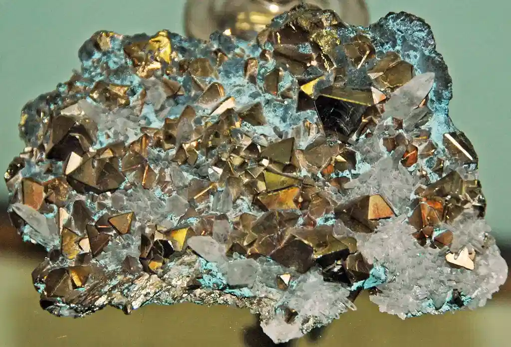 close up photo of baby orangutan with beautiful eyes